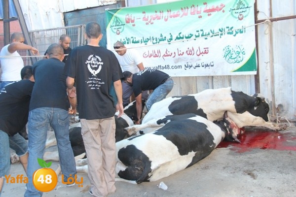 ada7y 116 n1 (2).JPG